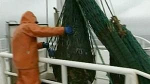 Marathon européen sur les quotas de pêche
