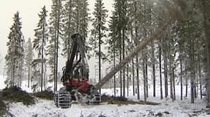 Copenhague: les émissions liées à la déforestation font débat
