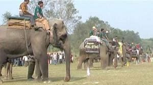 Elephant race in Nepal