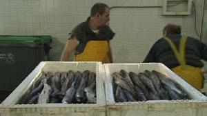 Fisheries rules in 2010 stronger than ever