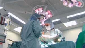Une nouvelle technique à base de cellule souches pour révolutionner la chirurgie orthopédique