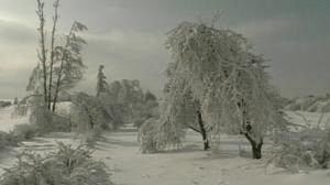 Big freeze hits eastern Europe