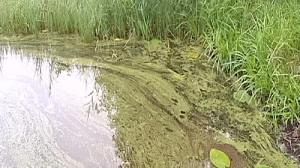 Baltic nations take action on sea pollution