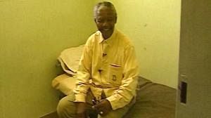 Vingtième anniversaire de la libération de Nelson Mandela