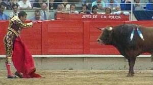 Catalan parliament holds bullfighting debate