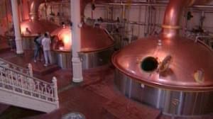 No cheers for No.1 brewer