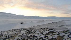 L’Arctique nouvelle destination à la mode ?