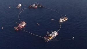 Japan angry at wildlife summit’s tuna stance