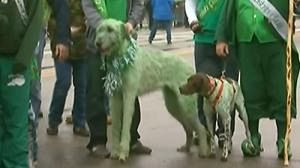 Parade de la Saint-Patrick à Chicago