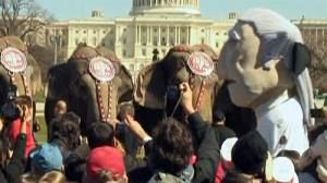 Des éléphants dans les rues de Washington