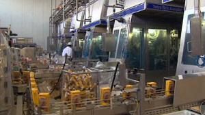 Euro zone industrial output perks up