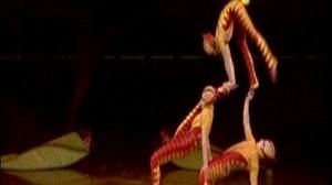 OVO : le nouveau spectacle du cirque du soleil