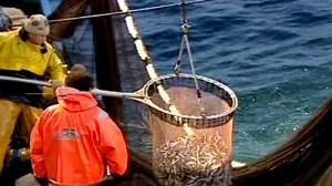 New wave of EU fishery policy reform begins