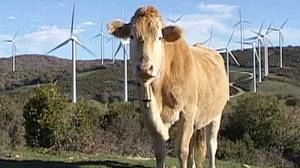 Agriculture vs global warming