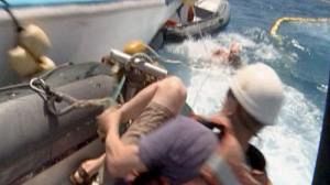 Fishermen ‘injured Greenpeace activist’
