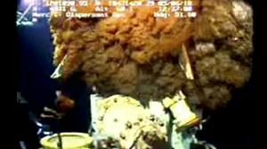 Progress in US oil spill siphoning efforts