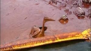 Mounting spill costs slam BP’s shares