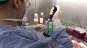 Belgian researchers trial skin cancer vaccine