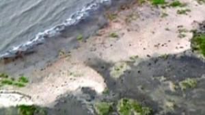 BP announces new oil spill costs