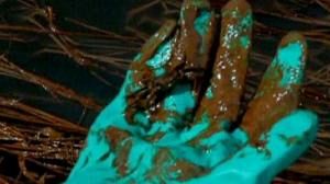 New BP oil spill chief says he is ready to listen
