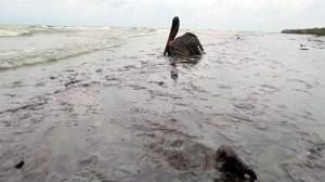 EU Commission may take over oil industry oversight