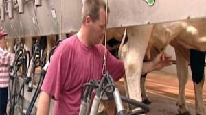 Les producteurs de lait maintiennent la pression