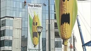 EU deadlocked over GMOs