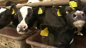 Le bio a la côte auprès des consommateurs européens