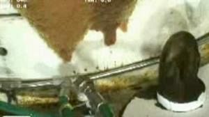 BP to keep cap in place despite small oil leakage