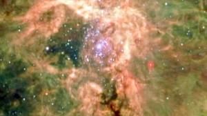 Scientists discover new ‘monster’ star
