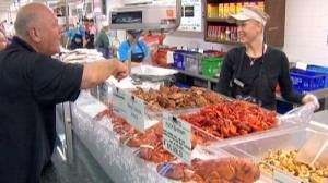 Le commerce du poisson reprend timidement dans le Golfe du Mexique