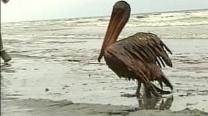 US Gulf Coast oil spill: a chronology