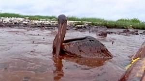 BP starts cementing ruptured Gulf oil well