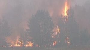 ‘Canal dug’ to protect nuclear site from fires