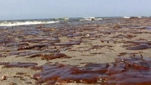 Marée noire : BP a dépensé 4,6 milliards d’euros