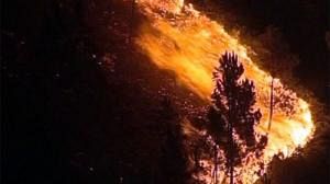 Portuguese firefighters die in forest blazes