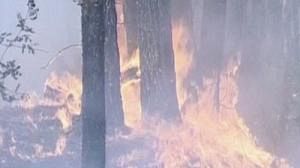 New fire ignites near Russian nuclear centre