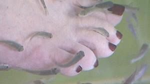 Comment prendre son pied dans un bocal à poissons