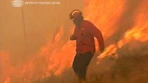 Portugal and Spain probe ‘intentional’ fires