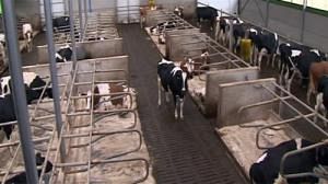 Hausse de 10 % des prix du lait