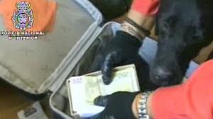 Spain arrests suspected FARC money launderers