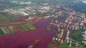 State-of-emergency declared in west Hungary