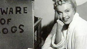 The lost Monroe snaps