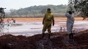 Hungary takes control of spill factory as wildlife suffers