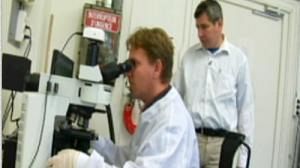 Scientists win Physics Nobel Prize for work on graphene