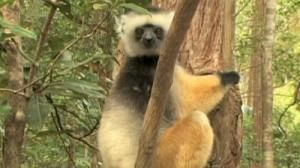 Biodiversity conference agrees conservation targets
