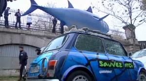 Pêche au thon rouge : quels quotas pour 2011 ?