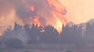 “40 killed” in Israeli brush fire