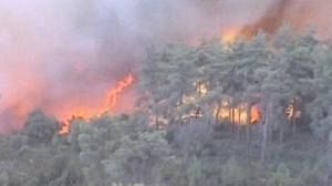 Israeli forest fire kills 40, mostly prison guards