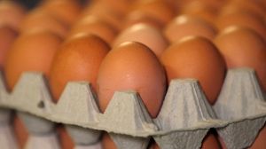 Dioxin alert closes German farms